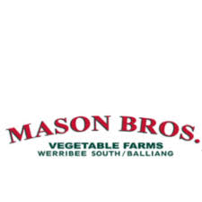 Client_23_-_Mason_Bros_logo