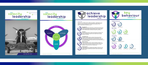 Velocity Leadership CheckPoint - Leadership Assessment Tool for Leaders