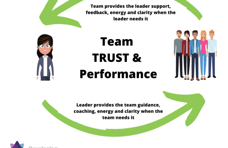 Team Trust and Performance - Does The Perfect Team and Leader Relationship Exist?